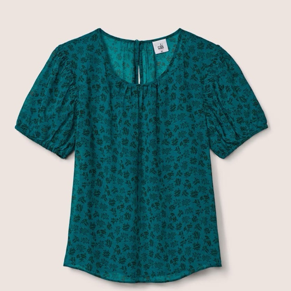 cabi Panorama Top